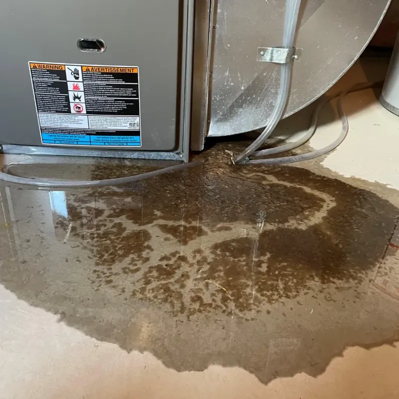 Appliance Leak Cleanup in Multnomah County, OR