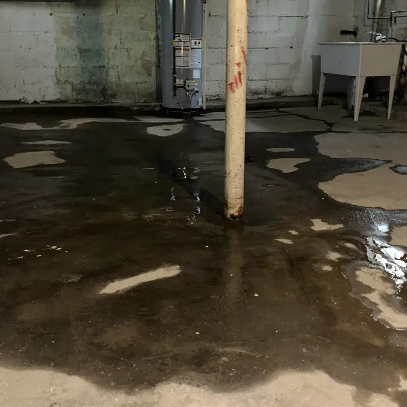 Emergency Water Extraction And Removal in Multnomah County, OR